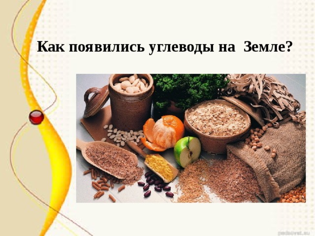 Как появились углеводы на Земле? 