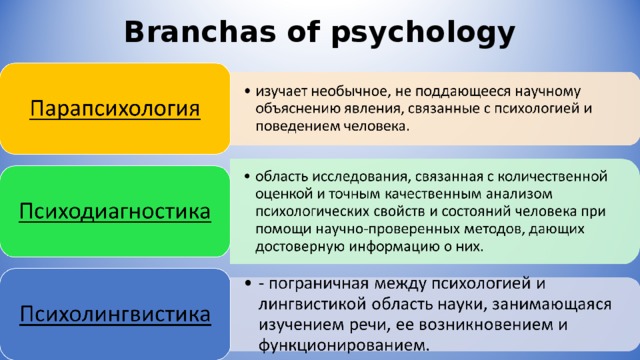 Branchas of psychology 