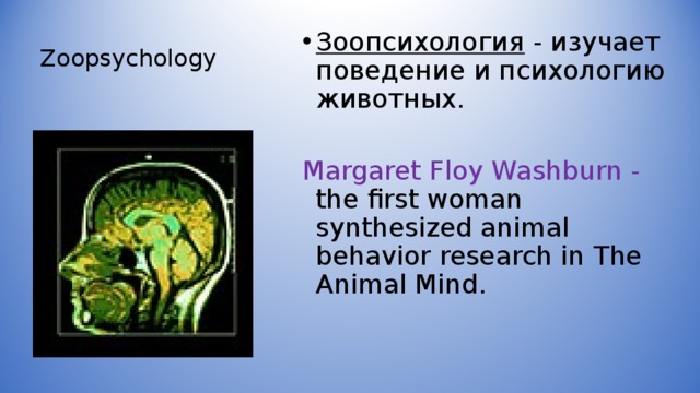 Zoopsychology Зоопсихология - изучает поведение и психологию животных.  Margaret Floy Washburn - the first woman synthesized animal behavior research in The Animal Mind. 