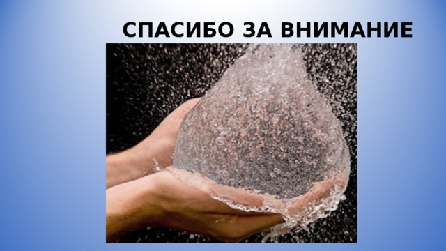 СПАСИБО ЗА ВНИМАНИЕ 