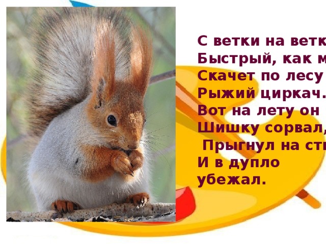 С ветки на ветку, Быстрый, как мяч, Скачет по лесу Рыжий циркач. Вот на лету он Шишку сорвал,  Прыгнул на ствол И в дупло убежал.