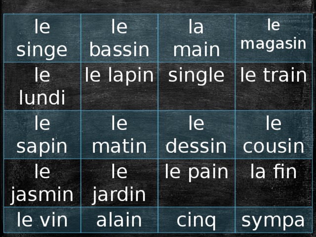 le singe le bassin le lundi la main le lapin le sapin le magasin le jasmin single le matin le vin le jardin le dessin le train le cousin le pain alain la fin cinq sympa 