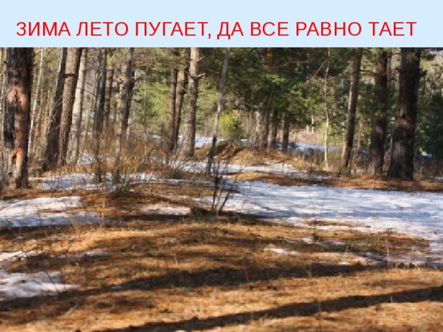  ЗИМА ЛЕТО ПУГАЕТ, ДА ВСЕ РАВНО ТАЕТ  