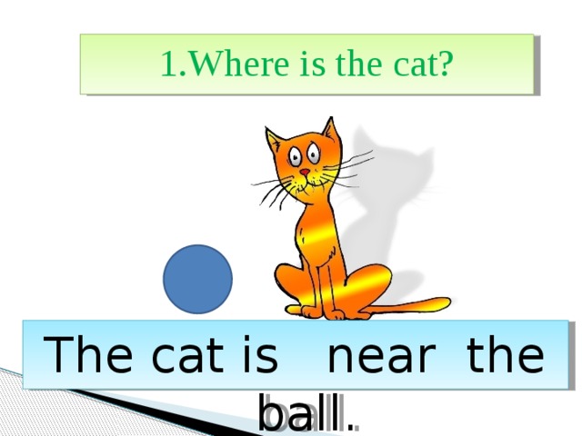 1.Where is the cat? The cat is near the ball. 