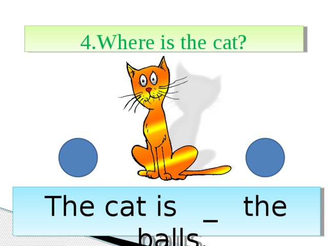 4.Where is the cat? The cat is _ the balls. 