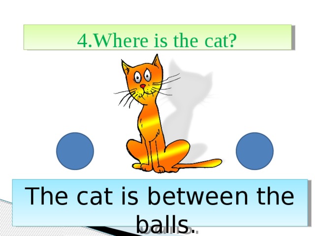 4.Where is the cat? The cat is between the balls. 