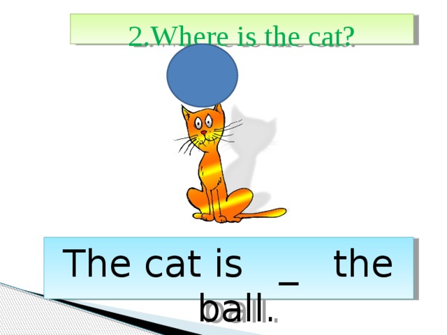 2.Where is the cat? The cat is _ the ball. 