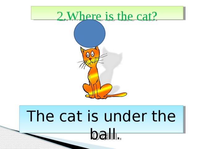 2.Where is the cat? The cat is under the ball. 