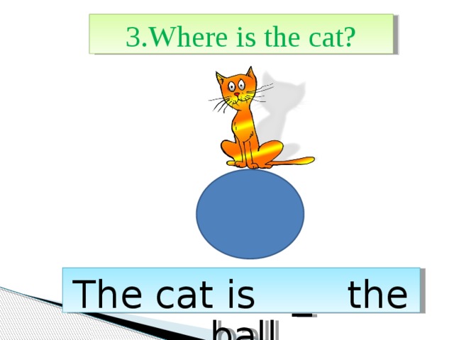 3.Where is the cat? The cat is _ the ball. 