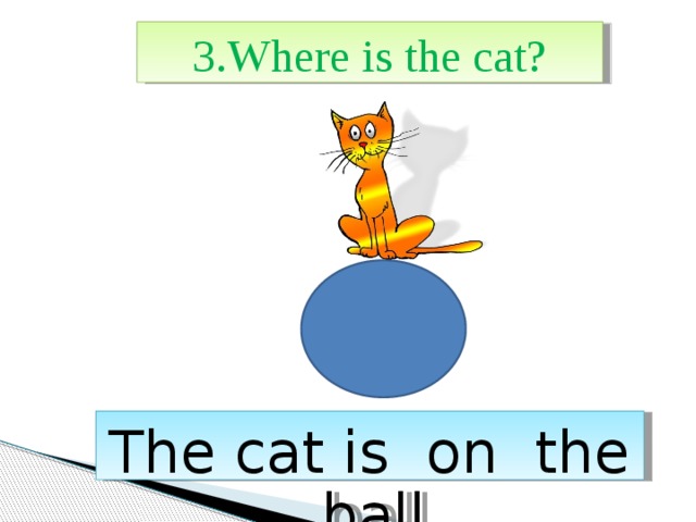 3.Where is the cat? The cat is on the ball. 