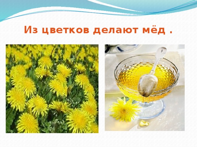 Из цветков делают мёд . 