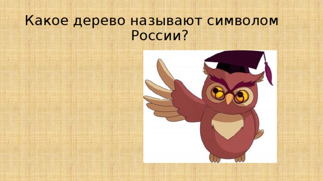 Какое дерево называют символом  России? 