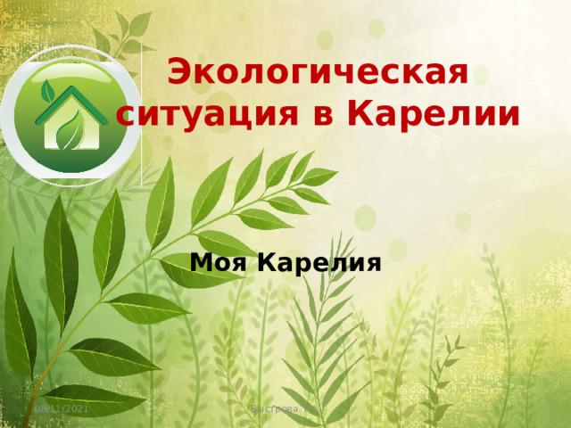 Экологическая ситуация в Карелии Моя Карелия 08/11/2021 Быстрова Т.А. 
