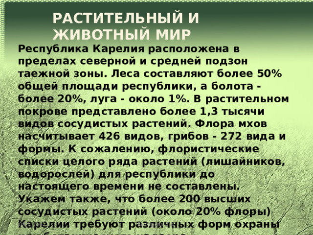 РАСТИТЕЛЬНЫЙ И ЖИВОТНЫЙ МИР Республика Карелия расположена в пределах северной и средней подзон таежной зоны. Леса составляют более 50% общей площади республики, а болота - более 20%, луга - около 1%. В растительном покрове представлено более 1,3 тысячи видов сосудистых растений. Флора мхов насчитывает 426 видов, грибов - 272 вида и формы. К сожалению, флористические списки целого ряда растений (лишайников, водорослей) для республики до настоящего времени не составлены. Укажем также, что более 200 высших сосудистых растений (около 20% флоры) Карелии требуют различных форм охраны или ботанического надзора. 08/11/2021 Быстрова Т.А. 