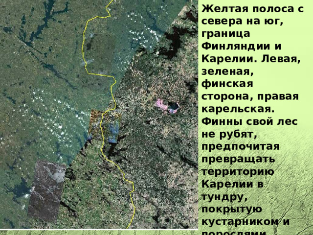 Желтая полоса с севера на юг, граница Финляндии и Карелии. Левая, зеленая, финская сторона, правая карельская. Финны свой лес не рубят, предпочитая превращать территорию Карелии в тундру, покрытую кустарником и порослями деревьев малоценных пород 08/11/2021 Быстрова Т.А. 