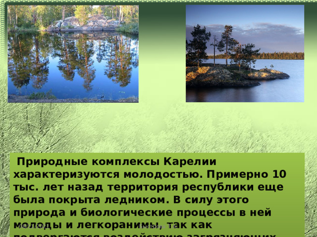  Природные комплексы Карелии характеризуются молодостью. Примерно 10 тыс. лет назад территория республики еще была покрыта ледником. В силу этого природа и биологические процессы в ней молоды и легкоранимы, так как подвергаются воздействию загрязняющих веществ и закислению. 08/11/2021 Быстрова Т.А. 