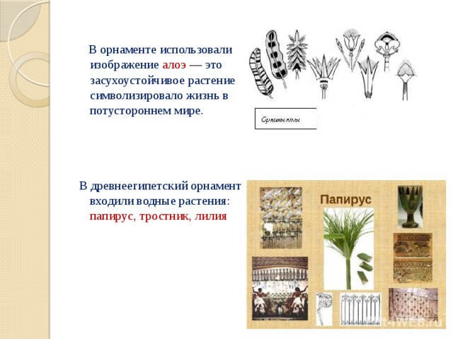  В орнаменте использовали изображение алоэ — это засухоустойчивое растение символизировало жизнь в потустороннем мире.  В древнеегипетский орнамент входили водные растения: папирус, тростник, лилия 