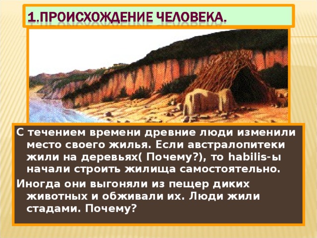 С течением времени древние люди изменили место своего жилья. Если австралопитеки жили на деревьях( Почему?), то habilis- ы начали строить жилища самостоятельно. Иногда они выгоняли из пещер диких животных и обживали их. Люди жили стадами. Почему? 