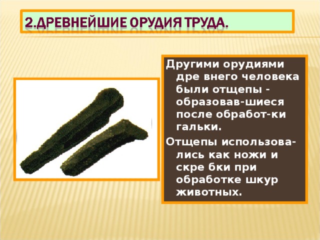 Другими орудиями дре внего человека были отщепы - образовав-шиеся после обработ-ки гальки. Отщепы использова-лись как ножи и скре бки при обработке шкур животных. 