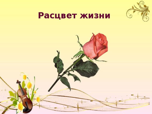 Расцвет жизни 