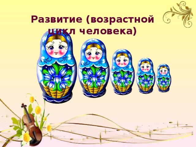 Развитие (возрастной цикл человека) 