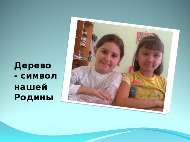 Дерево - символ нашей Родины  