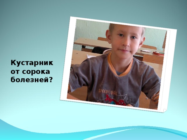 Кустарник от сорока болезней?  
