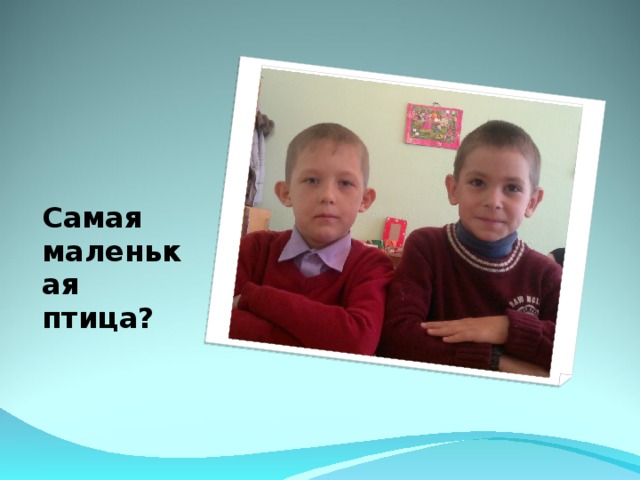 Самая маленькая птица? 