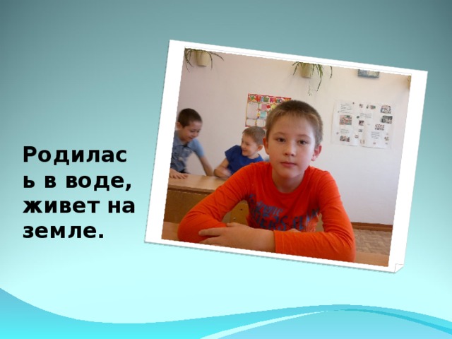 Родилась в воде, живет на земле. 