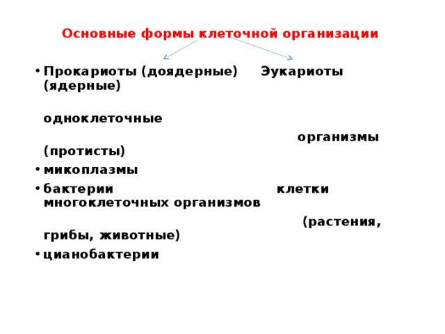 Основные формы клеточной организации  Прокариоты (доядерные) Эукариоты (ядерные)  одноклеточные  организмы (протисты) микоплазмы бактерии клетки многоклеточных организмов  (растения, грибы, животные) цианобактерии 