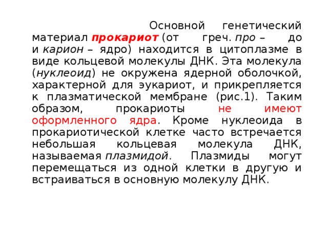   Основной генетический материал  прокариот  (от греч.  про  – до и  карион  – ядро) находится в цитоплазме в виде кольцевой молекулы ДНК. Эта молекула ( нуклеоид ) не окружена ядерной оболочкой, характерной для эукариот, и прикрепляется к плазматической мембране (рис.1). Таким образом, прокариоты не имеют оформленного ядра . Кроме нуклеоида в прокариотической клетке часто встречается небольшая кольцевая молекула ДНК, называемая  плазмидой . Плазмиды могут перемещаться из одной клетки в другую и встраиваться в основную молекулу ДНК. 