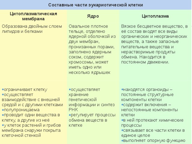 Составные части эукариотической клетки Цитоплазматическая мембрана Ядро Образована двойным слоем липидов и белками Цитоплазма Овальное плотное тельце, отделено ядерной оболочкой из двух мембран, пронизанных порами, заполнено ядерным соком, содержит хромосомы, может иметь одно или несколько ядрышек Вязкое бесцветное вещество, в её состав входят все виды органических и неорганических веществ, а также запасные питательные вещества и нерастворимые продукты обмена. Находится в постоянном движении. ограничивает клетку осуществляет взаимодействие с внешней средой и с другими клетками полупроницаема проводит одни вещества в клетку, а другие из неё у клеток растений и грибов мембрана снаружи покрыта клеточной стенкой осуществляет хранение генетической информации и синтез РНК регулирует процессы обмена веществ в клетке находятся органоиды – постоянные структурные компоненты клетки содержит включения – непостоянные компоненты клетки в ней протекают химические процессы связывает все части клетки в единое целое выполняет опорную функцию 