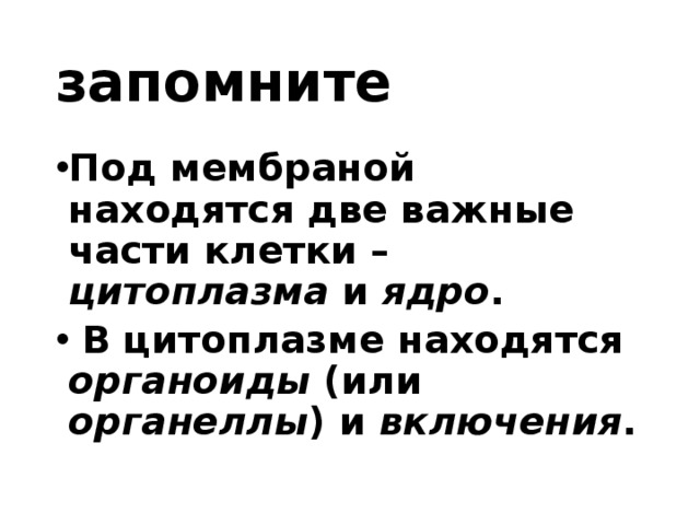 запомните Под мембраной находятся две важные части клетки – цитоплазма и ядро .  В цитоплазме находятся органоиды (или органеллы ) и включения .  