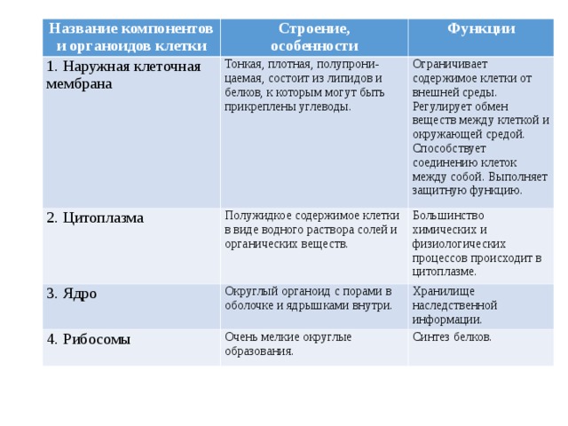 Название компонентов и органоидов клетки Строение,  особенности 1. Наружная клеточная мембрана Тонкая, плотная, полупрони-цаемая, состоит из липидов и белков, к которым могут быть прикреплены углеводы. 2. Цитоплазма Функции Полужидкое содержимое клетки в виде водного раствора солей и органических веществ. 3. Ядро Ограничивает содержимое клетки от внешней среды. Регулирует обмен веществ между клеткой и окружающей средой. Способствует соединению клеток между собой. Выполняет защитную функцию. Округлый органоид с порами в оболочке и ядрышками внутри. Большинство химических и физиологических процессов происходит в цитоплазме. 4. Рибосомы Хранилище наследственной информации. Очень мелкие округлые образования. Синтез белков. 