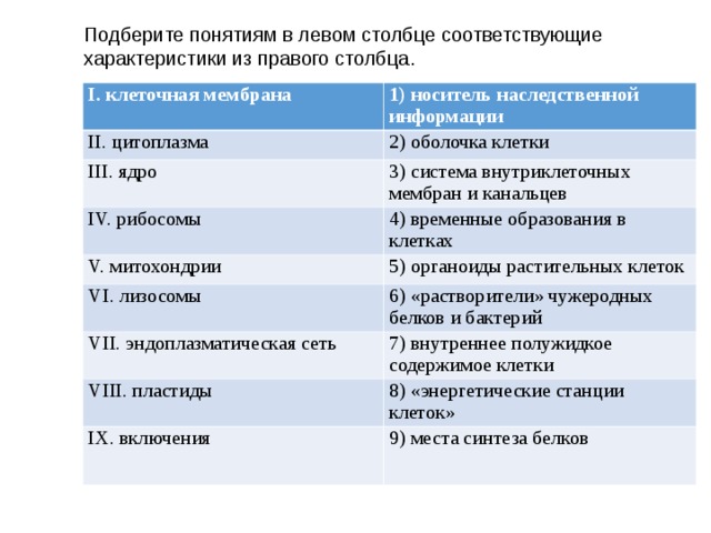 Подберите понятиям в левом столбце соответствующие характеристики из правого столбца. I. клеточная мембрана 1) носитель наследственной информации II. цитоплазма 2) оболочка клетки III. ядро 3) система внутриклеточных мембран и канальцев IV. рибосомы 4) временные образования в клетках V. митохондрии VI. лизосомы 5) органоиды растительных клеток 6) «растворители» чужеродных белков и бактерий VII. эндоплазматическая сеть 7) внутреннее полужидкое содержимое клетки VIII. пластиды 8) «энергетические станции клеток» IX. включения 9) места синтеза белков  