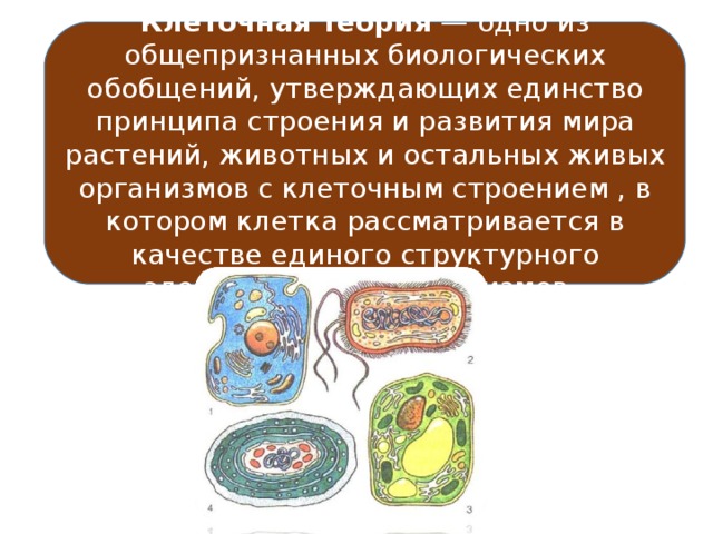 Клеточная теория  — одно из общепризнанных биологических обобщений, утверждающих единство принципа строения и развития мира растений, животных и остальных живых организмов с клеточным строением , в котором клетка рассматривается в качестве единого структурного элемента живых организмов. 