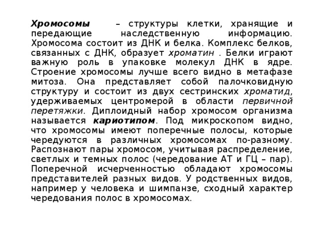    Хромосомы  – структуры клетки, хранящие и передающие наследственную информацию. Хромосома состоит из ДНК и белка. Комплекс белков, связанных с ДНК, образует хроматин . Белки играют важную роль в упаковке молекул ДНК в ядре. Строение хромосомы лучше всего видно в метафазе митоза. Она представляет собой палочковидную структуру и состоит из двух сестринских хроматид , удерживаемых центромерой в области первичной перетяжки . Диплоидный набор хромосом организма называется кариотипом . Под микроскопом видно, что хромосомы имеют поперечные полосы, которые чередуются в различных хромосомах по-разному. Распознают пары хромосом, учитывая распределение, светлых и темных полос (чередование АТ и ГЦ – пар). Поперечной исчерченностью обладают хромосомы представителей разных видов. У родственных видов, например у человека и шимпанзе, сходный характер чередования полос в хромосомах. 