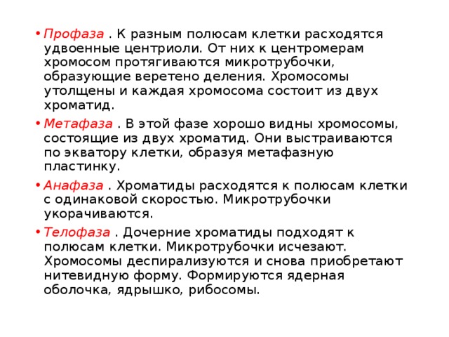 Профаза . К разным полюсам клетки расходятся удвоенные центриоли. От них к центромерам хромосом протягиваются микротрубочки, образующие веретено деления. Хромосомы утолщены и каждая хромосома состоит из двух хроматид. Метафаза . В этой фазе хорошо видны хромосомы, состоящие из двух хроматид. Они выстраиваются по экватору клетки, образуя метафазную пластинку. Анафаза . Хроматиды расходятся к полюсам клетки с одинаковой скоростью. Микротрубочки укорачиваются. Телофаза . Дочерние хроматиды подходят к полюсам клетки. Микротрубочки исчезают. Хромосомы деспирализуются и снова приобретают нитевидную форму. Формируются ядерная оболочка, ядрышко, рибосомы. 