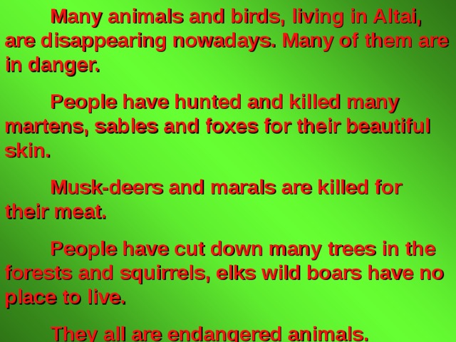 Many animals and birds, living in Altai, are disappearing nowadays. Many of them are in danger.  People have hunted and killed many martens, sables and foxes for their beautiful skin.  Musk-deers and marals are killed for their meat.  People have cut down many trees in the forests and squirrels, elks wild boars have no place to live.  They all are endangered animals. 