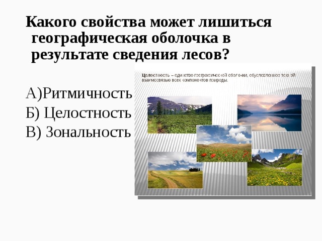 Какого свойства может лишиться географическая оболочка в результате сведения лесов? А)Ритмичность Б) Целостность В) Зональность 