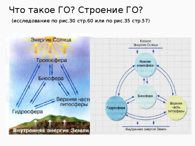 Что такое ГО? Строение ГО?   (исследование по рис.30 стр.60 или по рис.35 стр.57) 