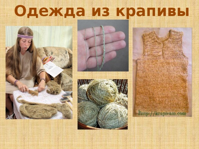 Одежда из крапивы 