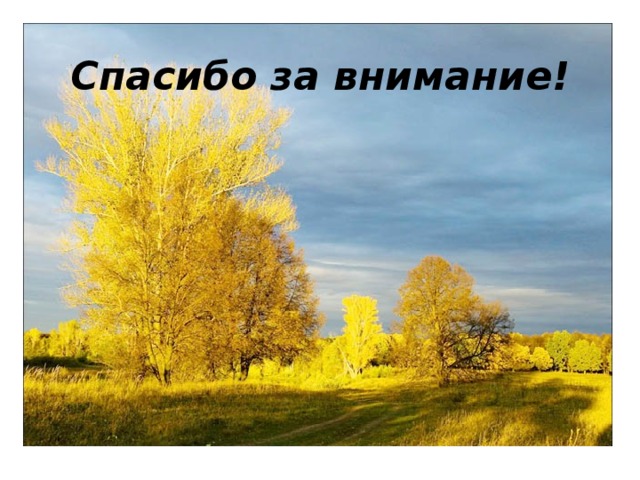 Спасибо за внимание! 