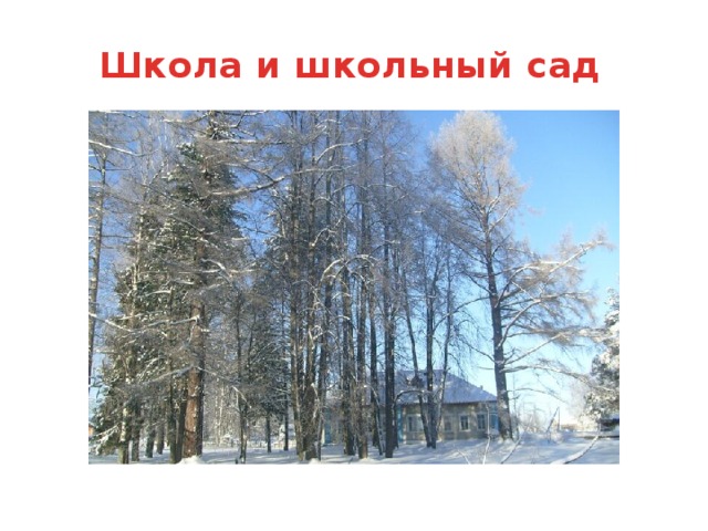 Школа и школьный сад 