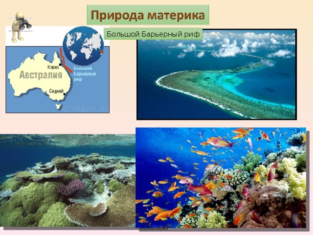 Большой Барьерный риф 