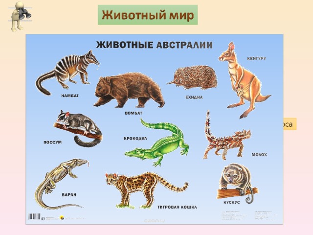 О. Виктория. Фото из космоса 