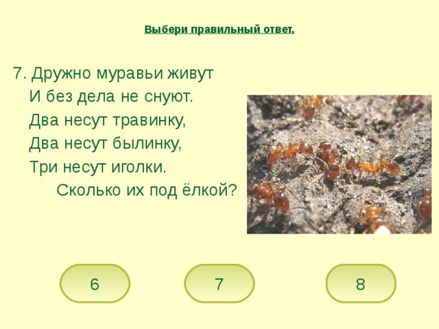 Выбери правильный ответ. 7. Дружно муравьи живут  И без дела не снуют.  Два несут травинку,  Два несут былинку,  Три несут иголки.   Сколько их под ёлкой? 7 6 8 