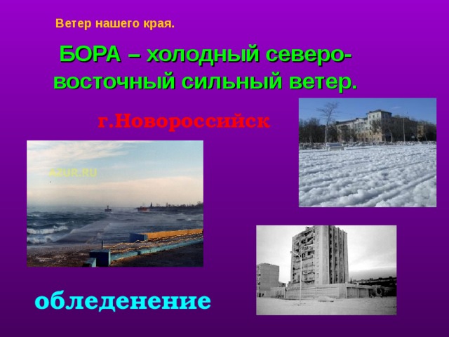 Ветер нашего края. БОРА – холодный северо-восточный сильный ветер. г.Новороссийск особое внимание уделяется ветрам нашего края, на примере новороссийской боре. обледенение  