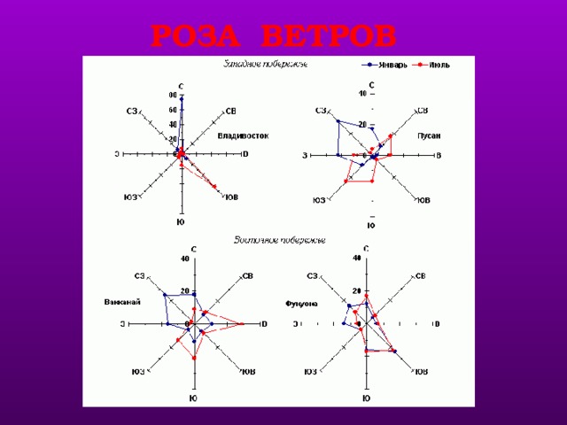 РОЗА ВЕТРОВ учитель говорит, что означает понятие 