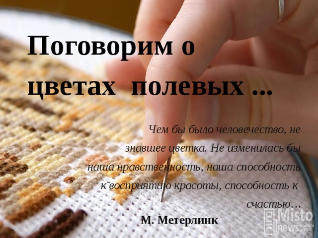  Поговорим о цветах полевых ...   Чем бы было человечество, не  знавшее цветка. Не изменилась бы наша нравственность, наша способность к восприятию красоты, способность к счастью… М. Метерлинк 
